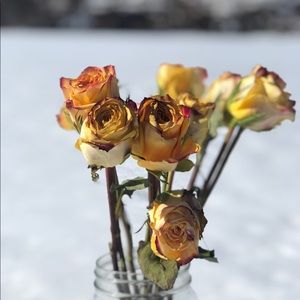 Meet your Posher, Charles